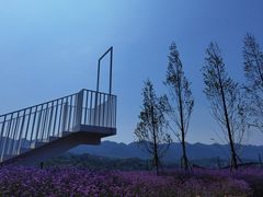-金海湾滨江公园