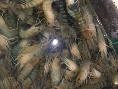 -福州中庚聚龍酒店香汇自助餐厅(南江滨西大道店)