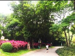 -深圳国际园林花卉博览园