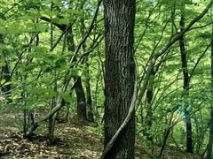 -句容茅山景区