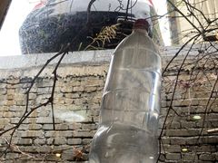 -绿雅居原生态农庄(小涌店)