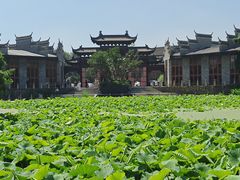 -朴园