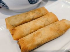 -财兜兜大黄山小馄饨