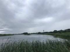 -太湖湖滨国家湿地公园-停车场