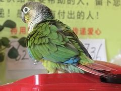 -福慧缘清心素食(峨眉山前店)