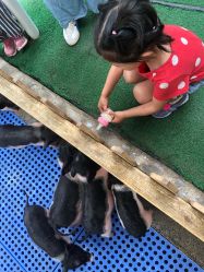 -萌宠亲子动物乐园(槐房万达店)