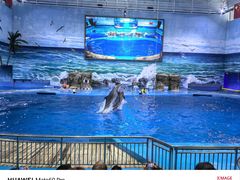 -多彩贵州城极地海洋世界