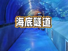 -太平洋海底世界