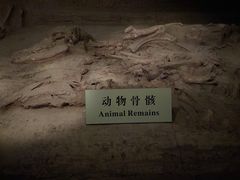 -汉景帝阳陵博物院