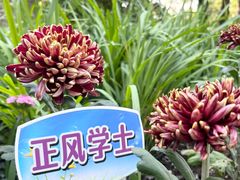 -汇龙潭