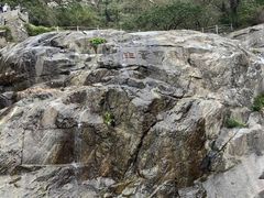 -泰山风景名胜区