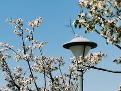 -上海海事大学(临港校区)