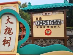 -大槐树寻根祭祖园