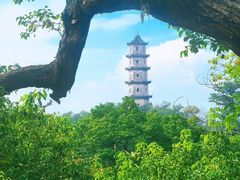 -楠溪江风景名胜区