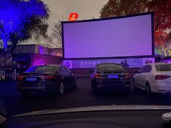-枫花园汽车电影院(朝阳公园店)