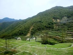-四明山国家森林公园
