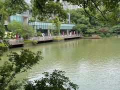 -红梅公园