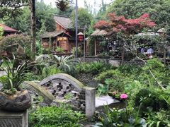 -青城甲(青城山店)