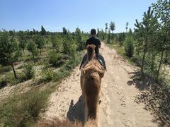 -鄂尔多斯野生动物园