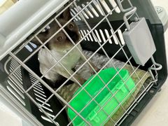 -瑞鹏宠物医院·爱宠堂(环西分院)