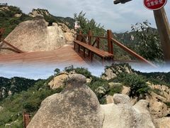 -大岭沟猕猴桃谷风景区