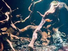 -太平洋海底世界