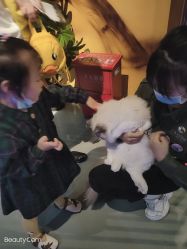-未来动物城动物主题公园(大悦城店)