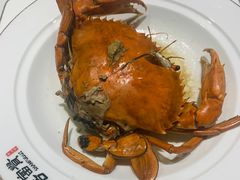膏油黄油蟹-膳富贵黄油蟹体验馆(欢乐港湾店)