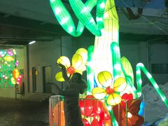 -沈阳奥体冰雪嘉年华