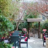 春天来得很慢 东方最懂浪漫~新本帮宴请宝藏餐厅[爱心]