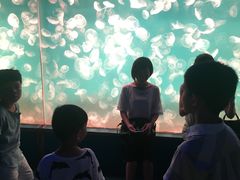 -左海海底世界