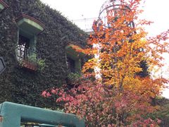 -三鹰之森吉卜力美术馆