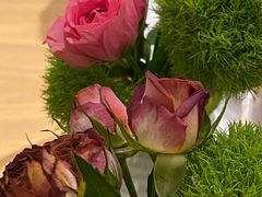-四季餐厅·新津菜(环湖中路店)