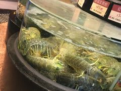 -陶陶居海鲜酒家(新马路店)