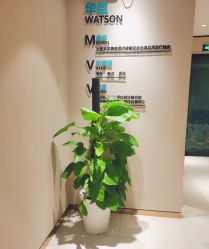 -华臣医疗美容