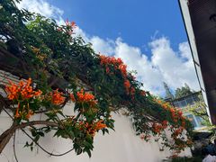 -瑞丰园庭院餐厅·白族传统家常菜