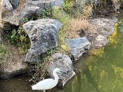 -珠海圆明新园