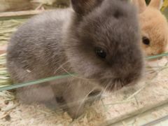 -龙猫仔乐园(惠福东路店)