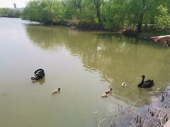 -长兴太湖图影湿地文化园