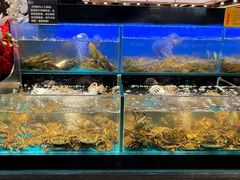 -苏格里岛自助烤肉海鲜火锅(成都金牛万达店)