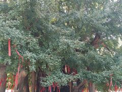 -终南山古楼观历史文化景区