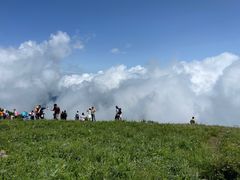 -白草畔自然风景区