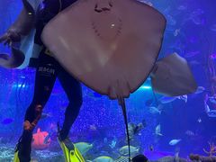 -沈阳海洋探索中心