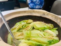啫啫生菜煲-陶陶居酒家(海岸城店)
