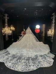 -Bridal Queen·婚纱女皇