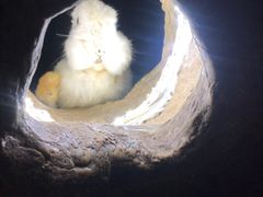 -中国杭州低碳科技馆