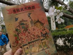 -武汉大学-樱园
