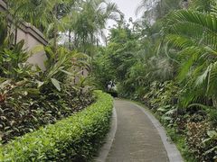 -广州从化都喜泰丽度假酒店温泉