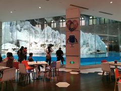 -帝企鹅自助餐厅•儿童岛•真企鹅(长隆企鹅酒店)