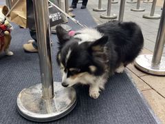-龙湖重庆时代天街
